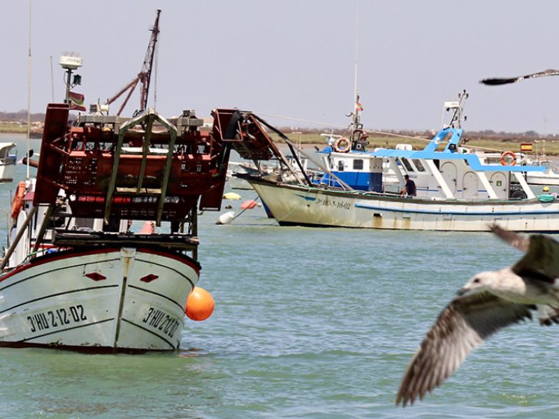 La Junta de Andalucía lleva a Bruselas sus peticiones sobre la pesca y el marisqueo