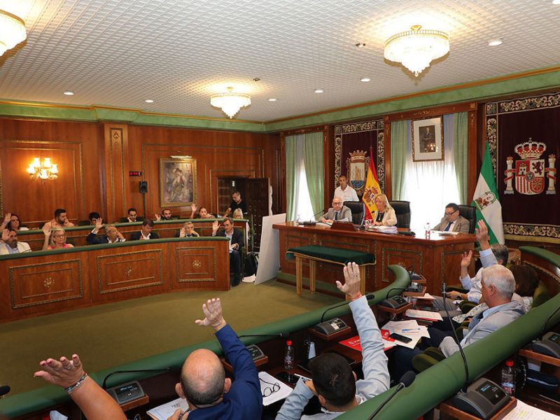 El Pleno aprueba la cesión gratuita a la Junta de Andalucía de una parcela de 8.148 metros cuadrados para la creación de un intercambiador de transportes en la zona este de San Pedro Alcántara