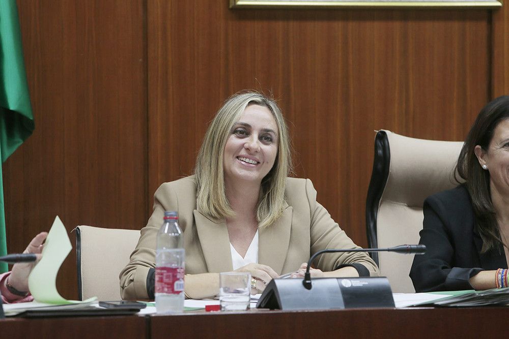 La consejera de Fomento anuncia el inicio inminente de la reforma de la carretera a Istán en Marbella
