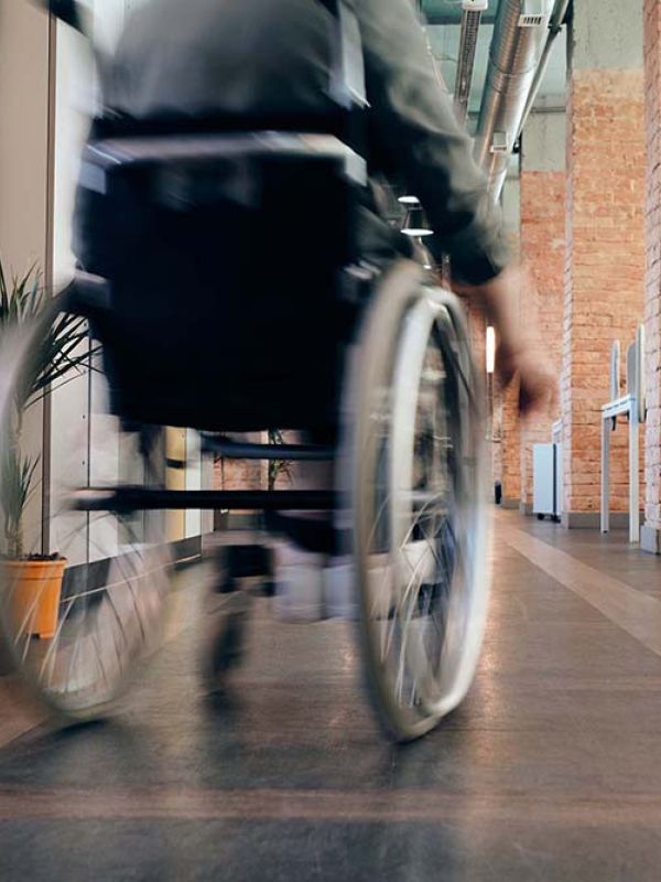 Curar desde dentro: una alternativa para la regeneración de la médula espinal