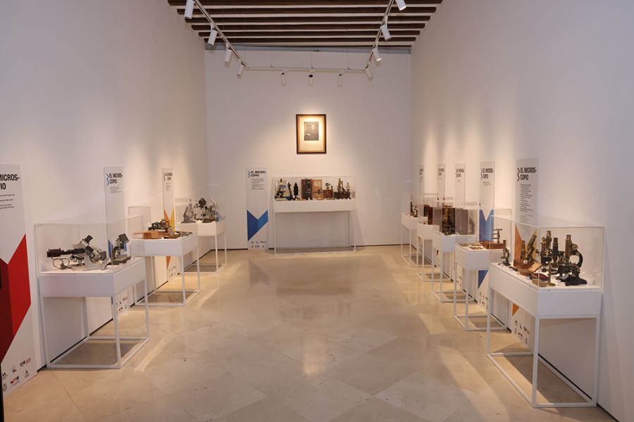 La Diputación colabora con la SEAP para traer a Málaga la exposición ‘Luz y microscopía’