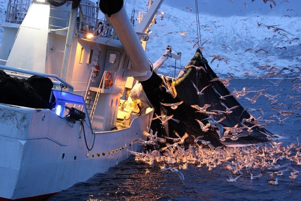 Observadores científicos a bordo para alcanzar una pesca sostenible en el litoral mediterráneo