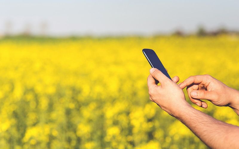 Investigadores del CSIC desarrollan una aplicación que permite optimizar el trabajo de los agricultores
