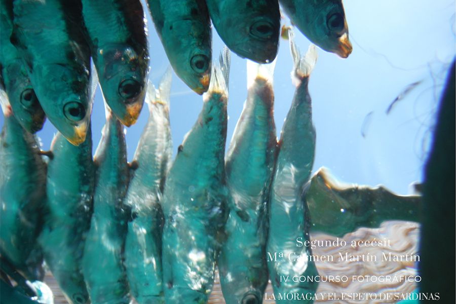 Alberto Villén Benítez, primer premio de la cuarta edición del concurso fotográfico \"La moraga y el espeto de sardinas\"