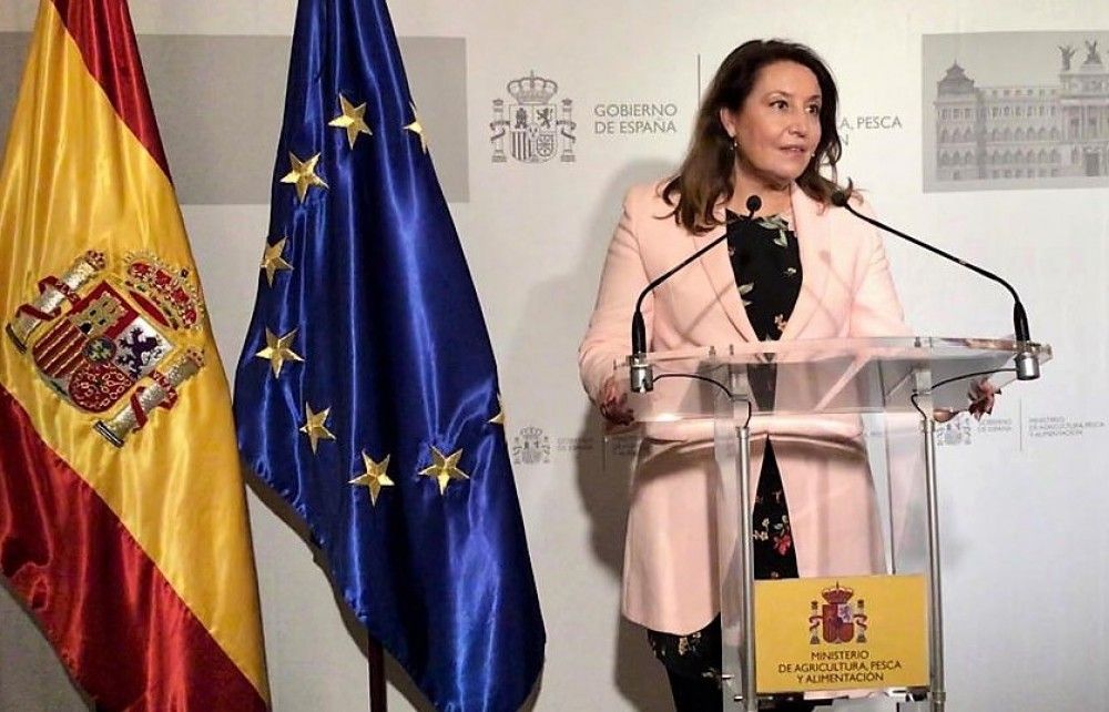Andalucía considera "inaceptables" los recortes en la pesca del Golfo de Cádiz y el Mediterráneo que propone Europa