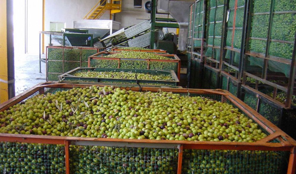 El paro sube en febrero en Andalucía en 4.394 personas, un 0,55% impulsado por el fin de campañas agrícolas