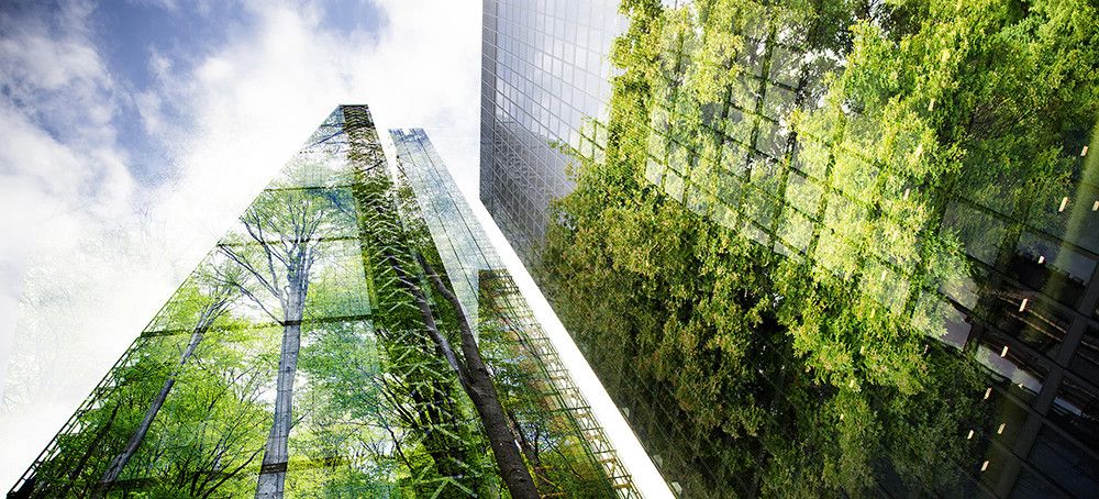Transición Ecológica aprueba 19 nuevos proyectos para impulsar la renaturalización de ciudades