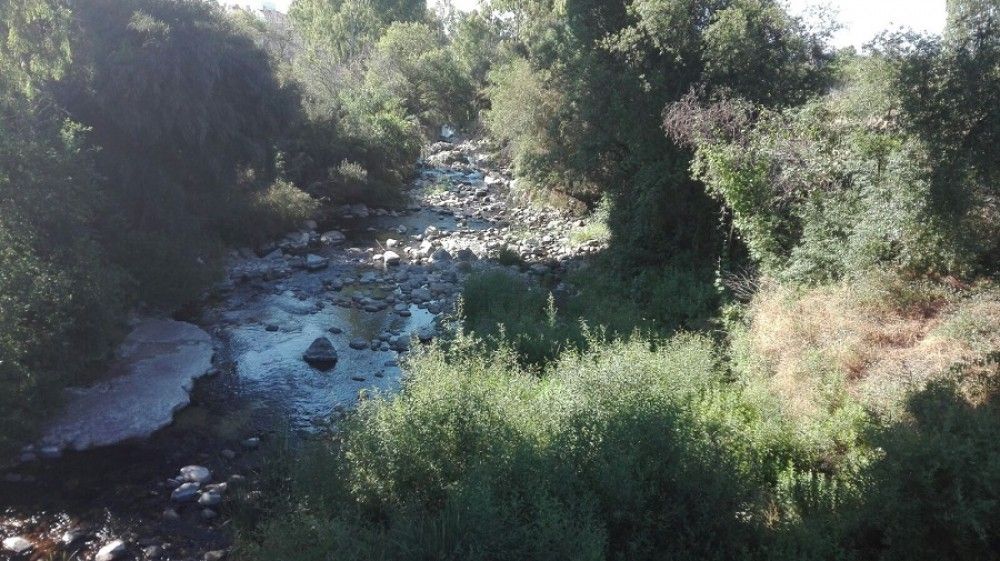 Impulsa Ciudad denuncia la destructiva limpieza realizada por el Ayuntamiento en el cauce bajo del río Guadaiza