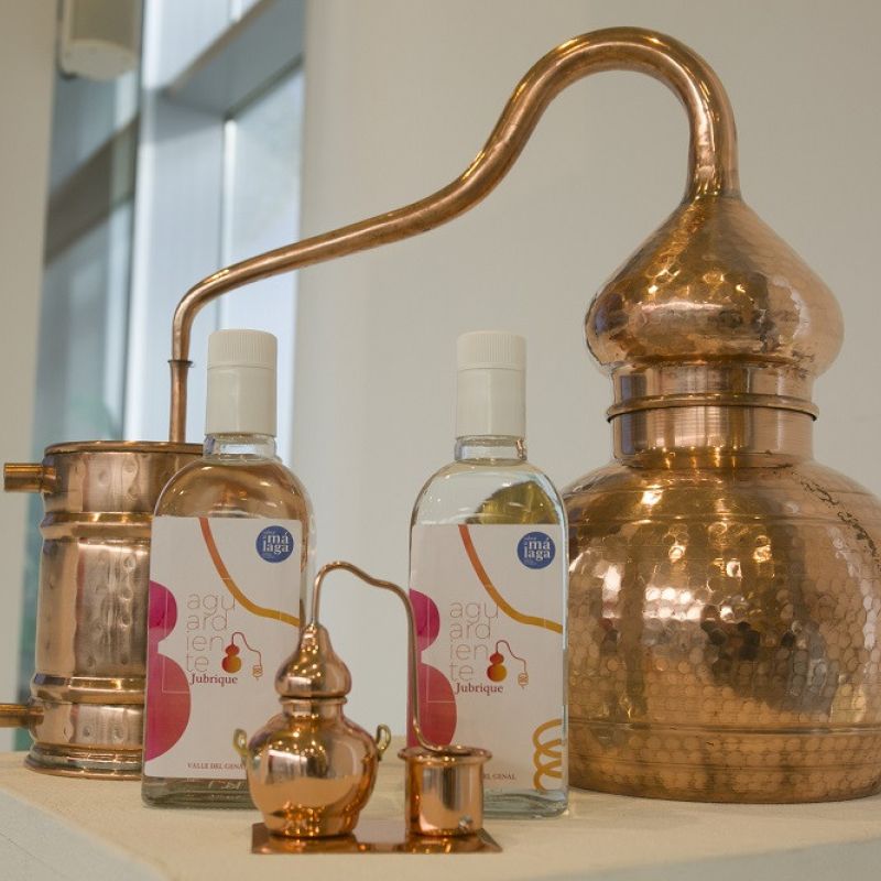 Regresa a Jubrique la elaboración tradicional de aguardiente en vivo