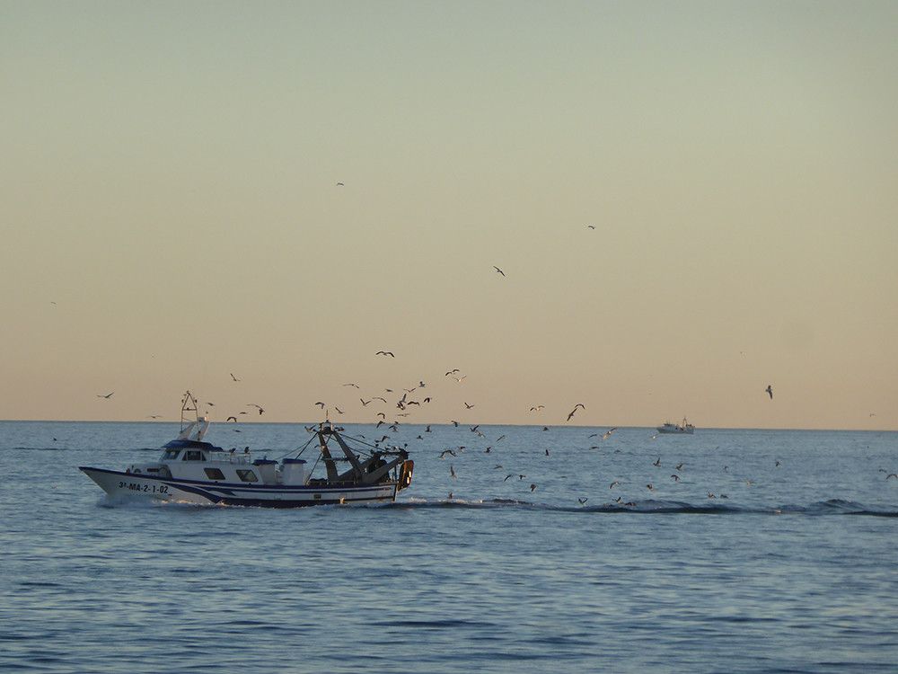 La Junta “reprocha” al PSOE que anteponga intereses políticos a la defensa de la pesca del Golfo de Cádiz