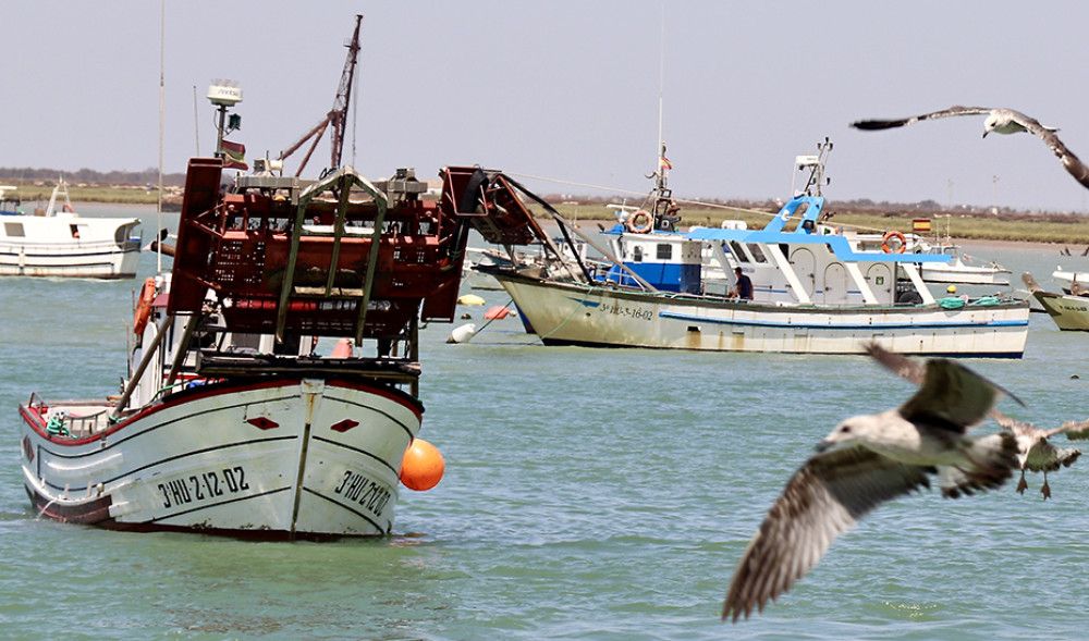 La Junta de Andalucía lleva a Bruselas sus peticiones sobre la pesca y el marisqueo