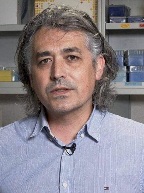 Un nuevo test permite medir la inmunidad celular frente a las vacunas y la infección por SARS-CoV-2