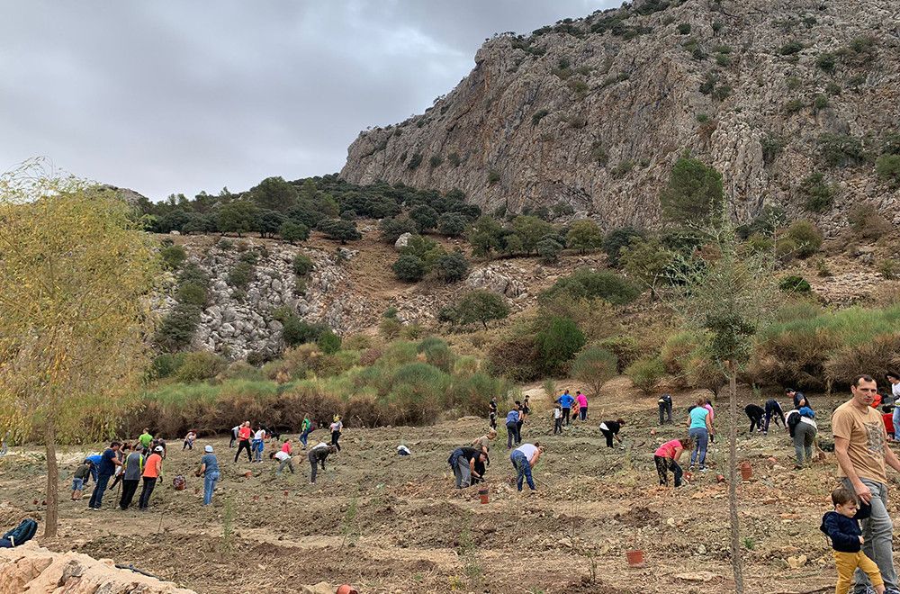Las Arboladas’ de la Diputación terminan con más de 350 participantes y la plantación de más de 1.500 árboles y arbustos