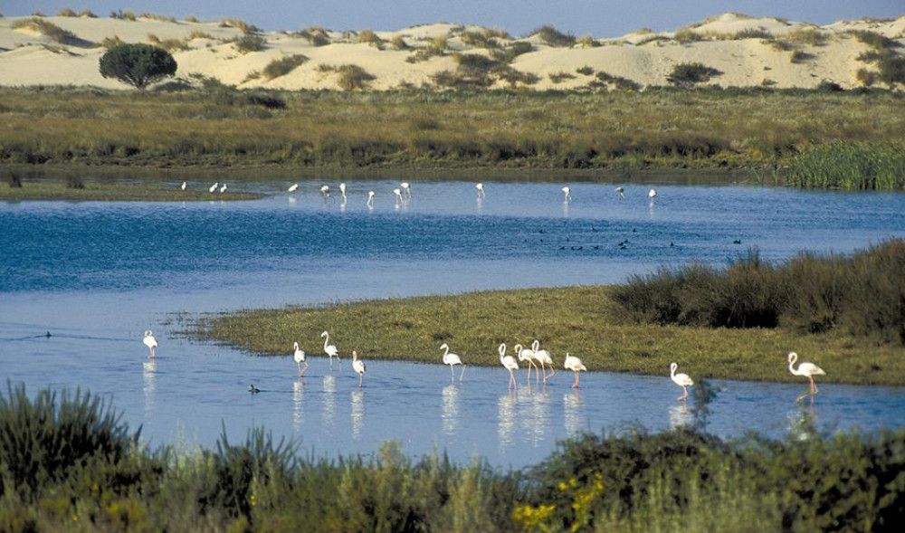 Aprobadas ayudas en zonas de Doñana y Sierra Nevada para dinamización y conservación
