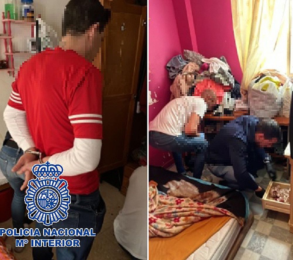 La Policía Nacional detiene a cinco personas por la comisión de doce robos en establecimientos y domicilios de Marbella y San Pedro Alcántara