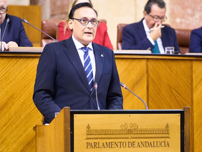 El decreto ley que modifica la norma andaluza de universidades entra en el Parlamento para su convalidación