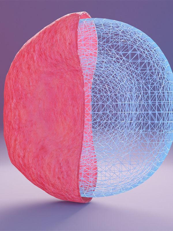 Investigadoras del CSIC desarrollarán una tecnología para crear sangre artificial