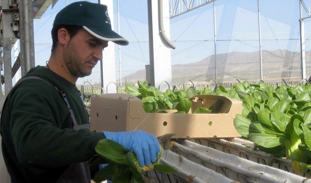 Cae en 174.877 el número de afiliados extranjeros (-10,91%) entre el 12 y el 31 de marzo