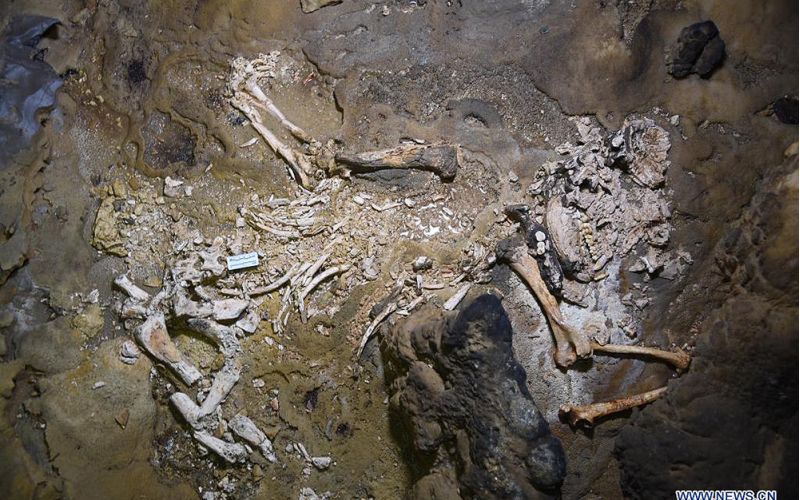 La Humanidad estuvo a punto de extinguirse hace 900.000 años