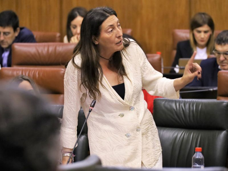 Inclusión Social y ayuntamientos trabajan ya en el primer censo de personas en asentamientos