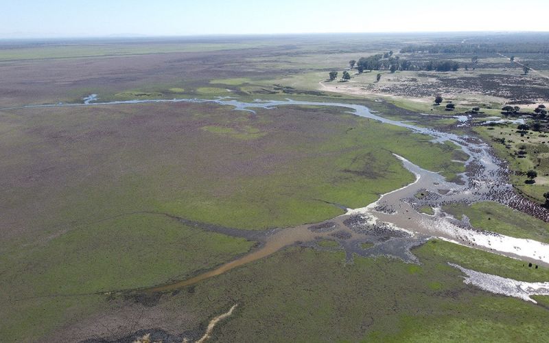 Las lluvias de las últimas semanas dejan una inundación de sólo el 1,8 % de la marisma de Doñana