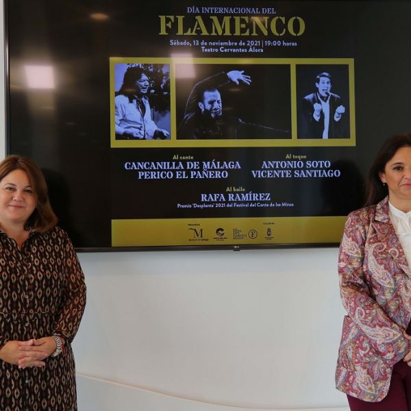 La Diputación celebra el Día Internacional del Flamenco con catorce actividades en la capital y en la provincia
