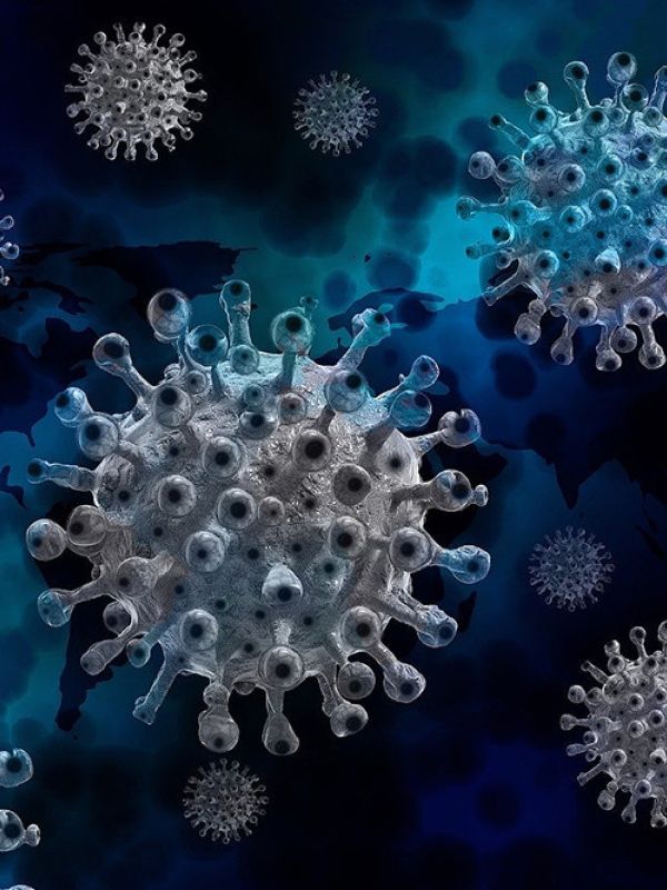 Investigadores del CSIC rastrean el coronavirus SARS-CoV-2 en Mozambique
