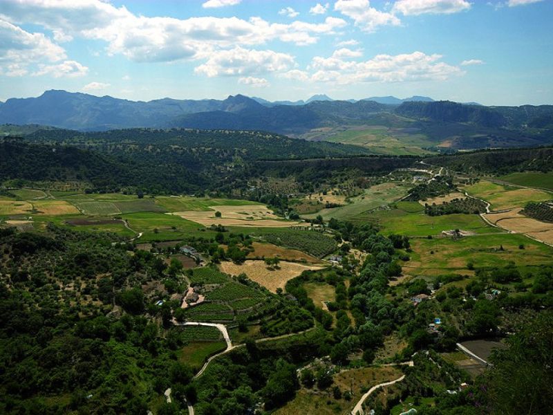 La Diputación refuerza los equipos de tratamiento familiar en la Serranía de Ronda