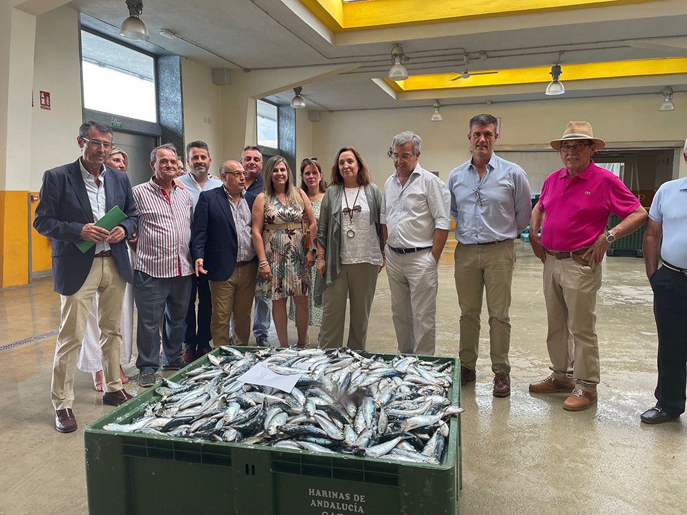 Reunión de la viceconsejera de Pesca con las cofradías de pescadores de la provincia de Málaga