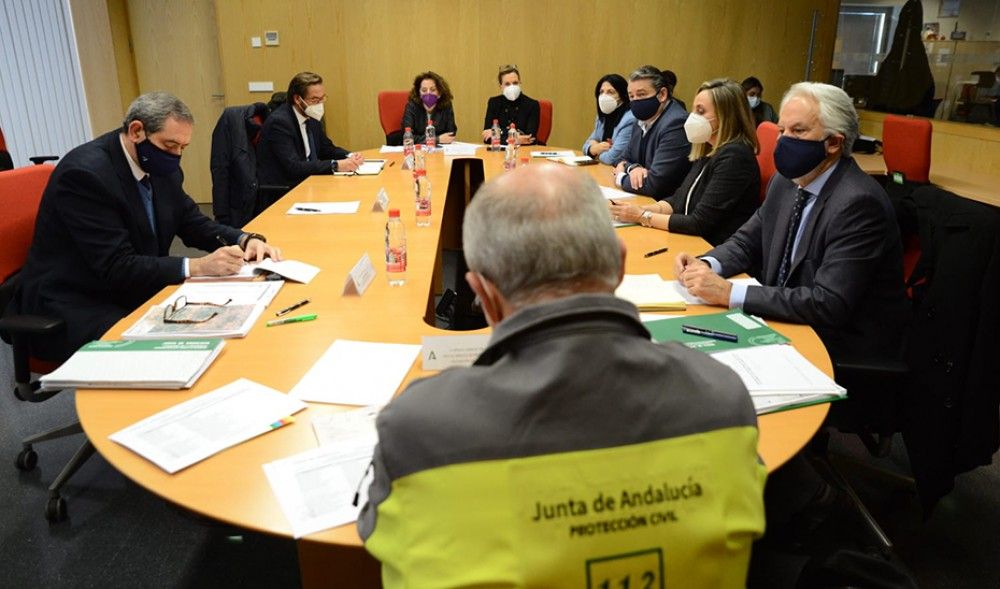 El Comité Asesor del Plan de Emergencia por Riesgo Sísmico analiza la situación en la Vega de Granada
