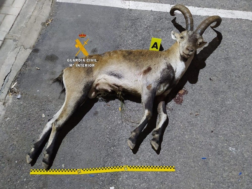 La Guardia Civil detiene a tres cazadores furtivos en Churriana