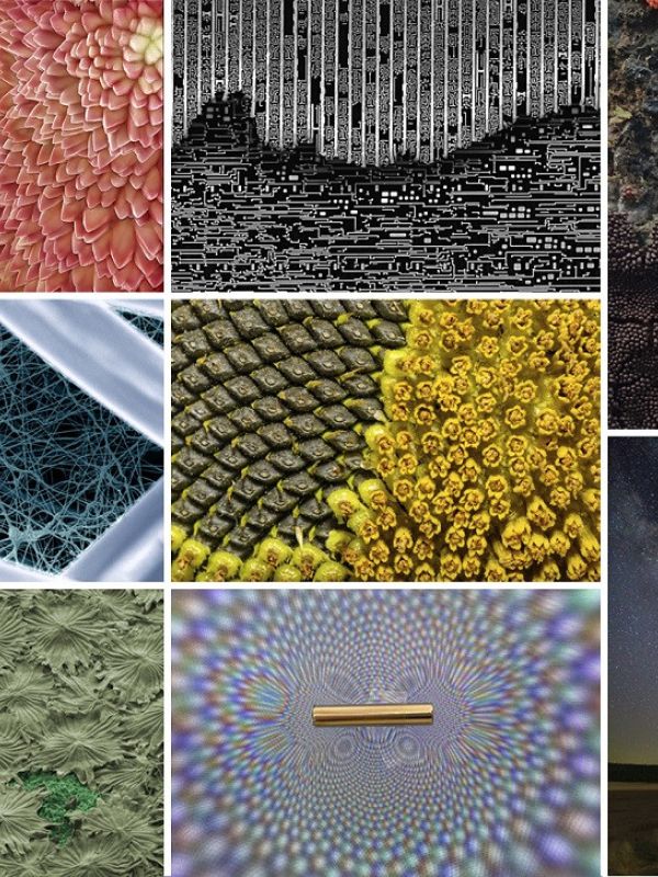 FOTCIENCIA anuncia las mejores fotografías científicas de 2021