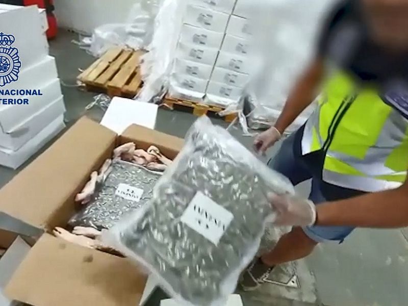 La Policía Nacional interviene 469 kilogramos de marihuana y hachís ocultos entre cajas de productos cárnicos en una nave en Málaga