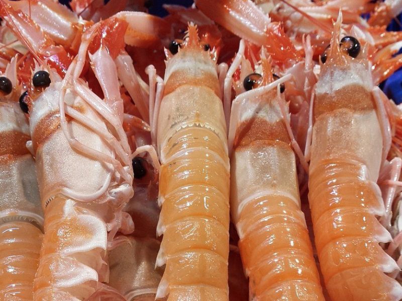 El Ministerio de Agricultura, Pesca y Alimentación reabre la pesca de la cigala en el golfo de Cádiz