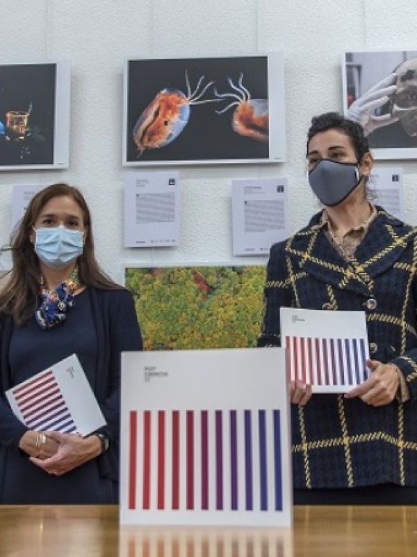 La exposición FOTCIENCIA17, con las mejores imágenes científicas de 2019, se abre al público en Madrid y Pamplona