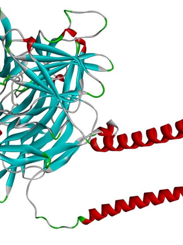 La suma de matemáticas y bioinformática desentraña las piezas básicas de los seres humanos