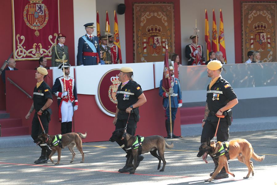 Los reyes, acompañados de la princesa de Asturias, presiden los actos por el Día de la Fiesta Nacional