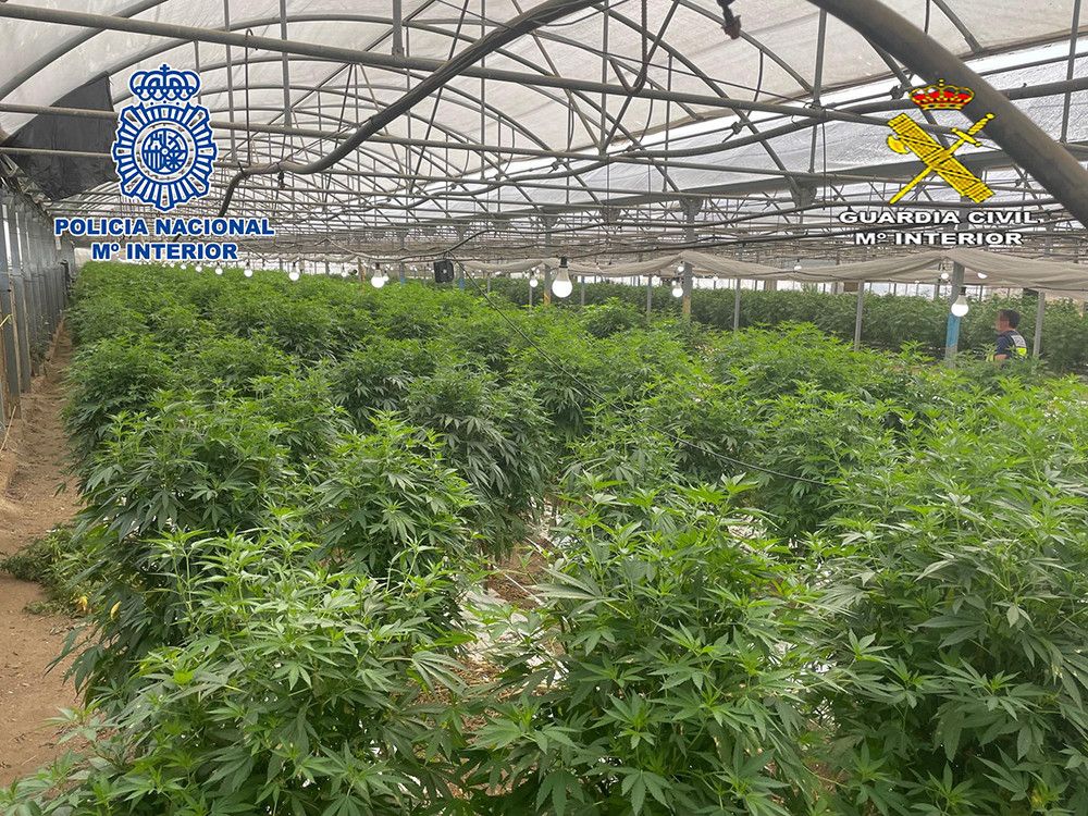 Aprehendido en Barcelona el mayor alijo de marihuana de España