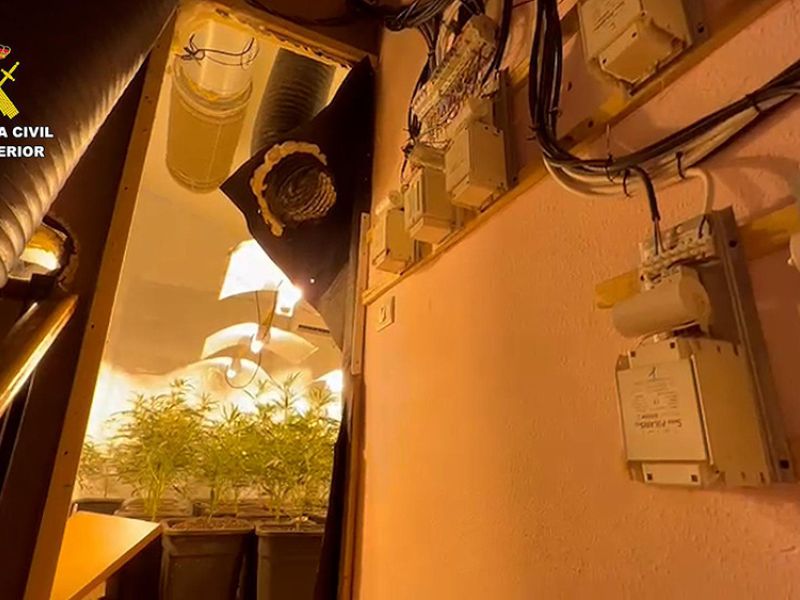 Desarticulada una organización criminal dedicada al cultivo de marihuana "indoor" en Castellón