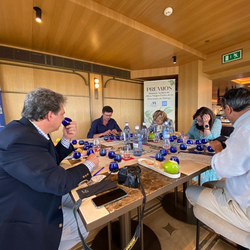 Las almazaras Hacienda de Colchado, Olivarera Frutera San Isidro y Aceites Sierra de Yeguas, ganadoras de los XXI Premios a los Mejores AOVES de Sabor a Málaga