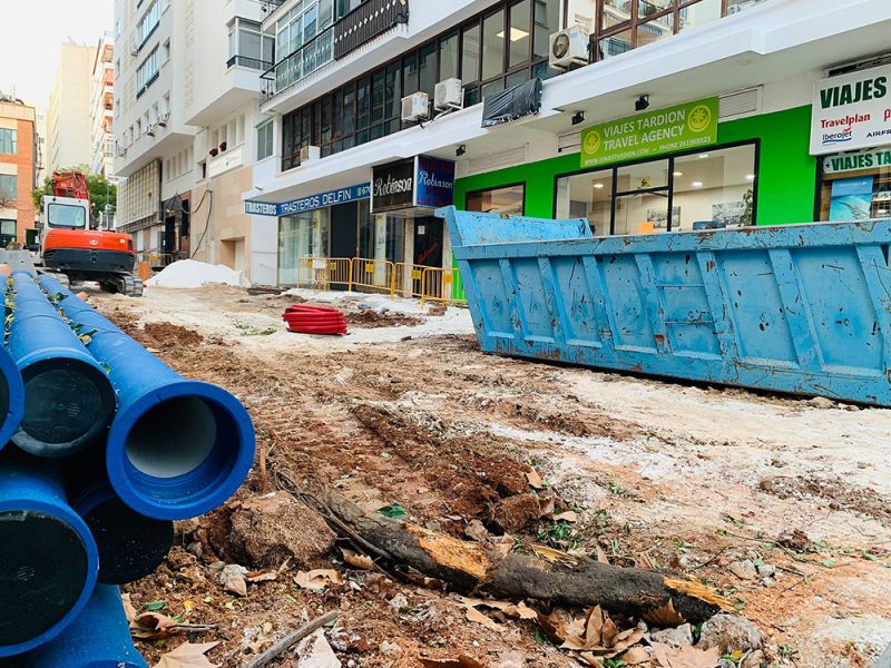 Ciudadanos Marbella propone la creación de un Consejo Medioambiental para acabar con las talas indiscriminadas
