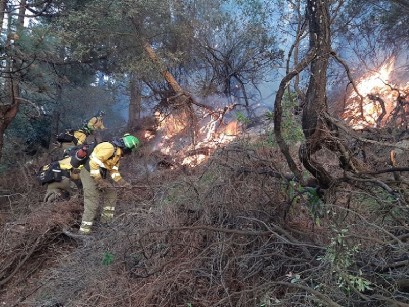 Autorizada la vuelta a casa de los desalojados al quedar estabilizado el incendio de Tarifa