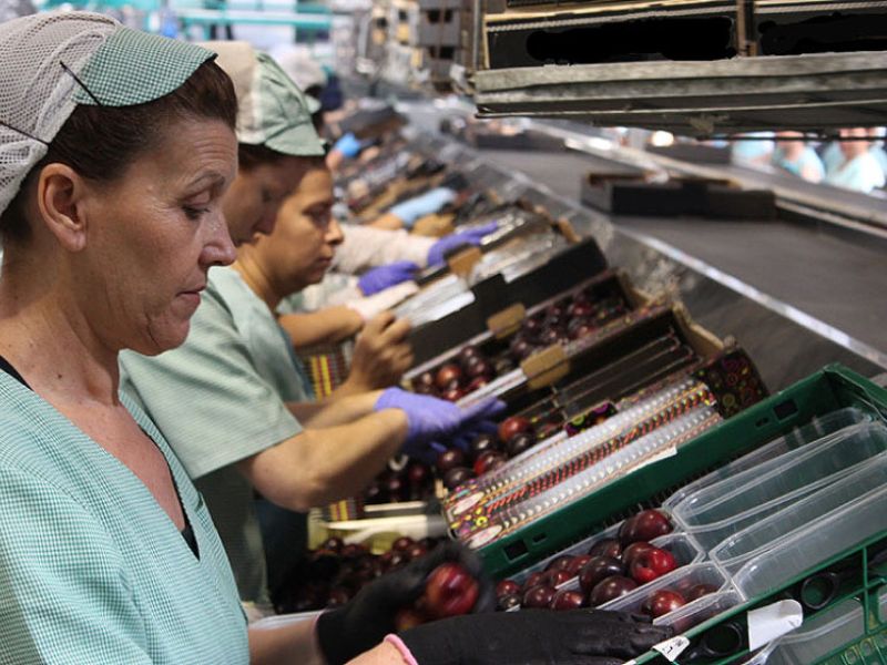 Los beneficiarios del Ingreso Mínimo Vital superan ya los 1,8 millones