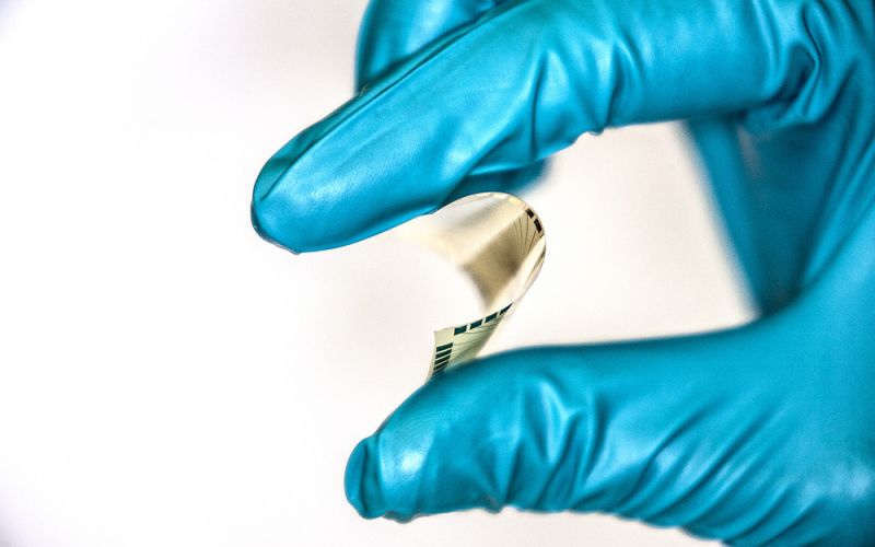El CSIC presenta los últimos avances en inteligencia artificial y ciencia de datos aplicables a la investigación biológica