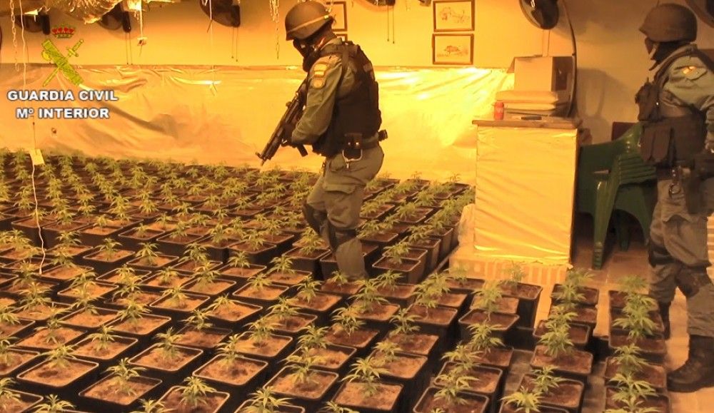 La Guardia Civil desmantela varios puntos contra la distribución y el tráfico de marihuana