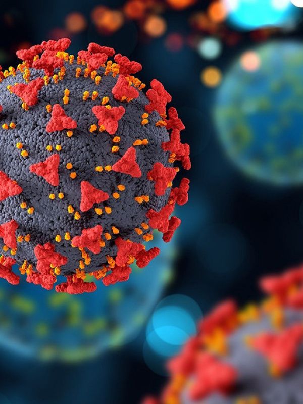 Identifican una característica de los virus que los hace más propensos a saltar de animales a humanos