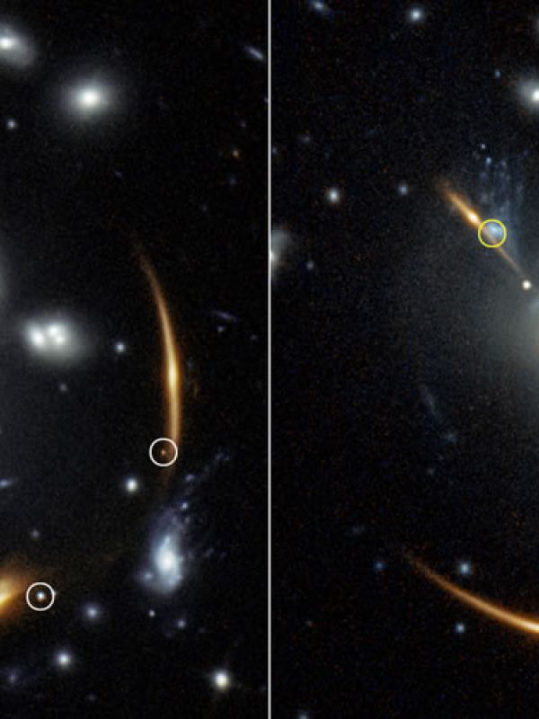 Pronostican la reaparición de la explosión de una supernova en 2037