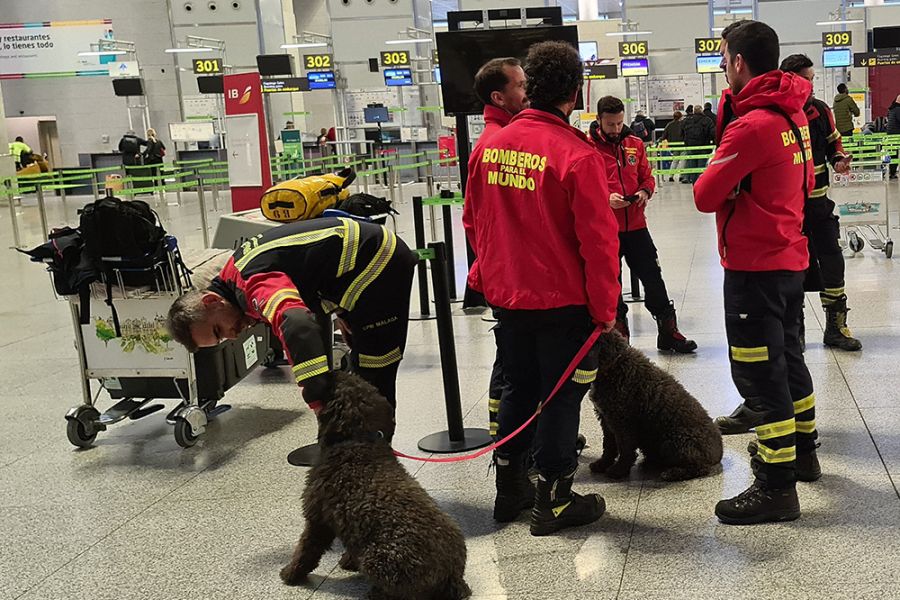 Cinco integrantes del Consorcio Provincial de Bomberos de Málaga continuarán en Turquía prestando apoyo humanitario