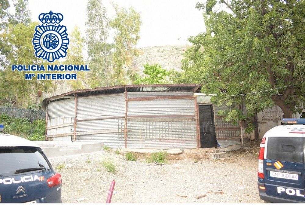 Detenidos por segunda vez en una semana un grupo de personas celebrando peleas de gallos en Málaga