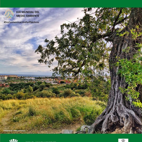 El Ayuntamiento convoca la tercera edición del Concurso de Fotografía Marbella y el Medio Ambiente’